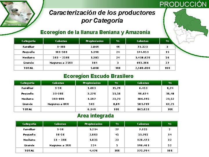 PRODUCCIÓN Caracterización de los productores por Categoría PRODUCCION Ecoregíon de la llanura Beniana y