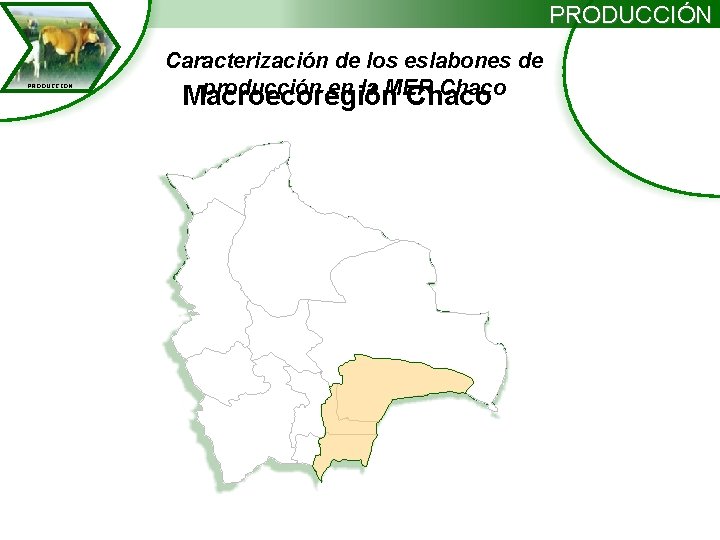 PRODUCCIÓN PRODUCCION Caracterización de los eslabones de producción en la MER Chaco Macroecoregión Chaco