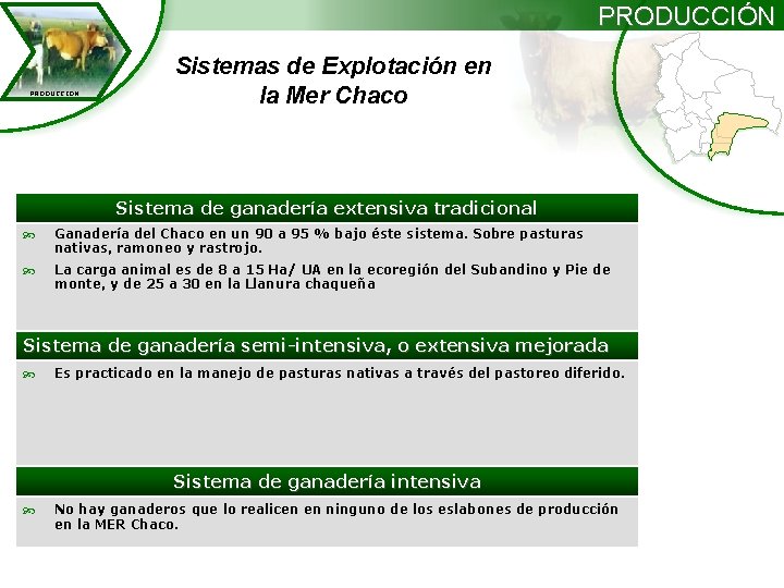 PRODUCCIÓN PRODUCCION Sistemas de Explotación en la Mer Chaco Sistema de ganadería extensiva tradicional