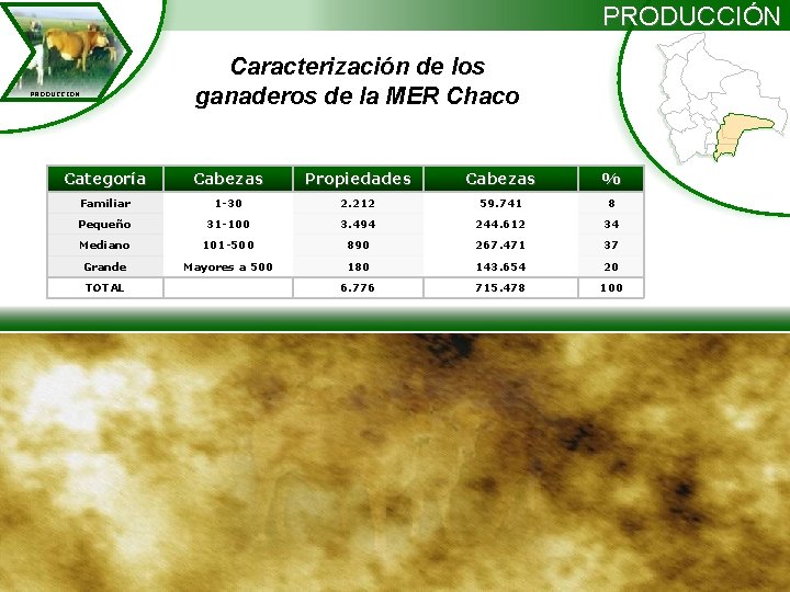 PRODUCCIÓN Caracterización de los ganaderos de la MER Chaco PRODUCCION Categoría Cabezas Propiedades Cabezas