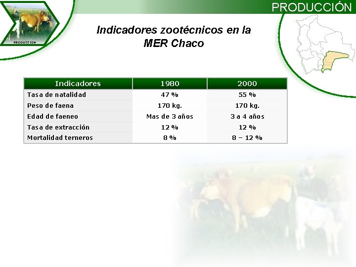 PRODUCCIÓN Indicadores zootécnicos en la MER Chaco PRODUCCION Indicadores 1980 2000 47 % 55