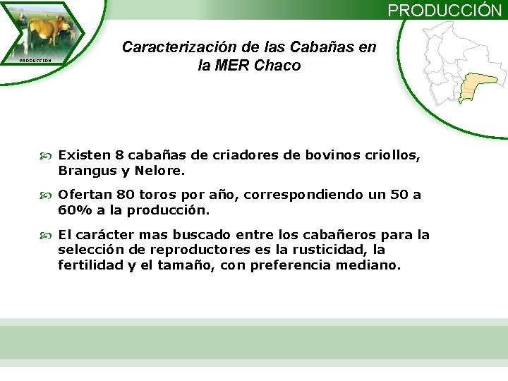 PRODUCCIÓN PRODUCCION Caracterización de las Cabañas en la MER Chaco Existen 8 cabañas de