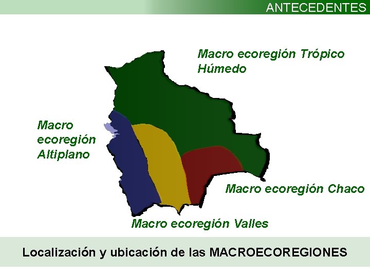 ANTECEDENTES Macro ecoregión Trópico Húmedo Macro ecoregión Altiplano Macro ecoregión Chaco Macro ecoregión Valles