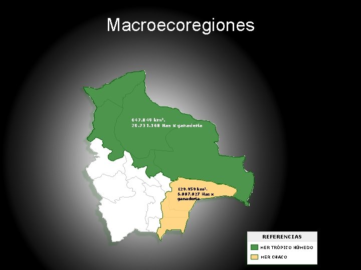 Macroecoregiones 647. 849 km 2. 20. 731. 168 Has x ganadería 129. 959 km