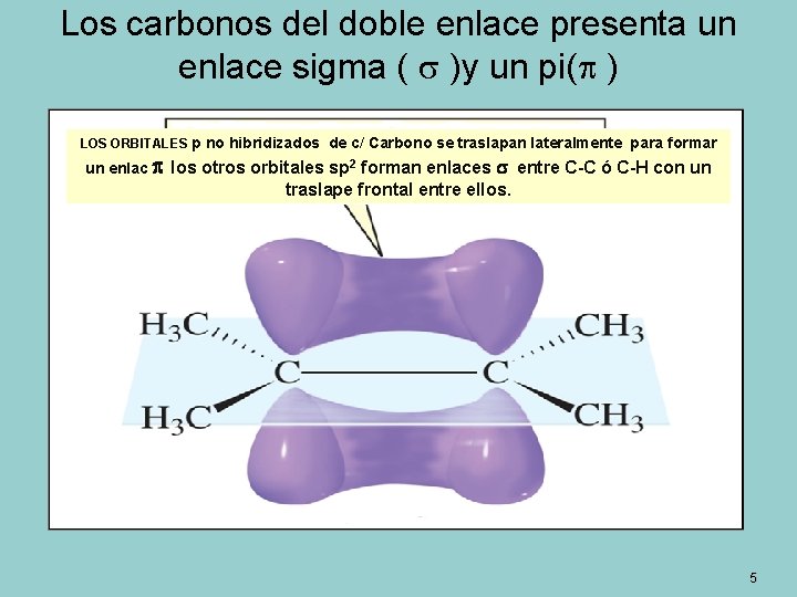 Los carbonos del doble enlace presenta un enlace sigma ( )y un pi( )