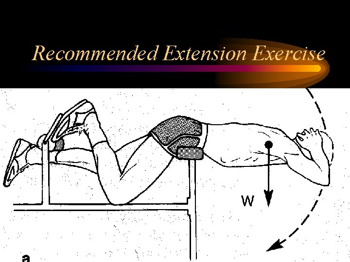 Recommended Extension Exercise 