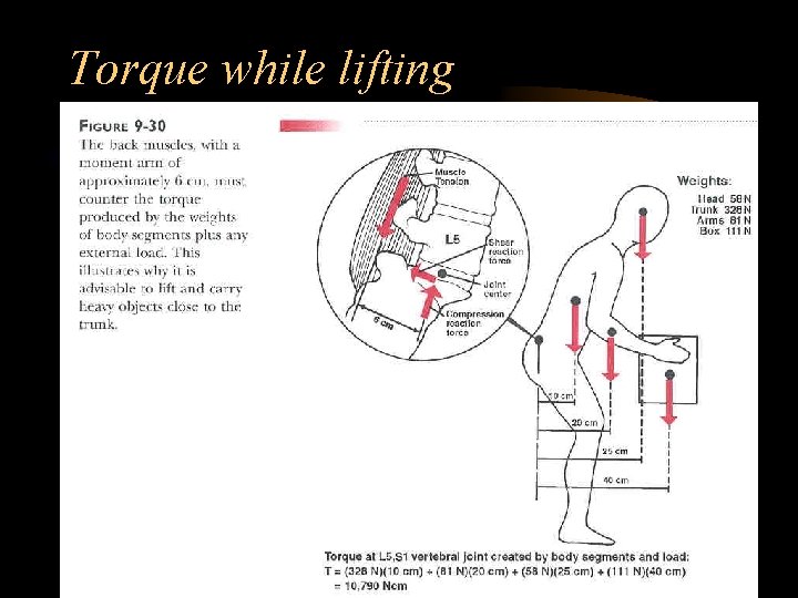 Torque while lifting 