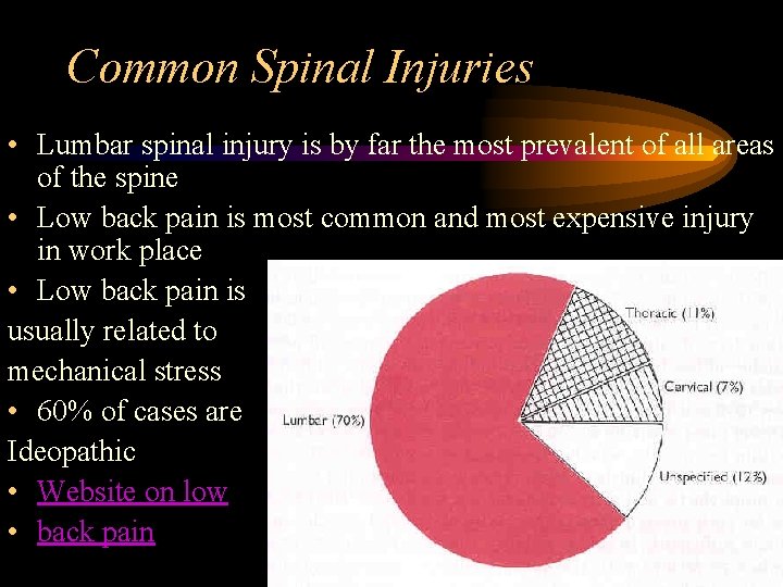 Common Spinal Injuries • Lumbar spinal injury is by far the most prevalent of