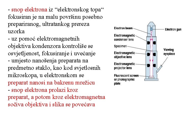 - snop elektrona iz “elektronskog topa“ fokusiran je na malu površinu posebno prepariranog, ultratankog