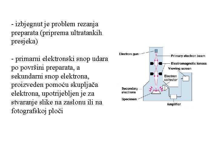 - izbjegnut je problem rezanja preparata (priprema ultratankih presjeka) - primarni elektronski snop udara