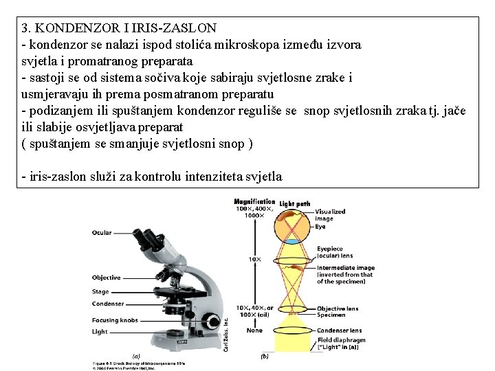 3. KONDENZOR I IRIS-ZASLON - kondenzor se nalazi ispod stolića mikroskopa između izvora svjetla