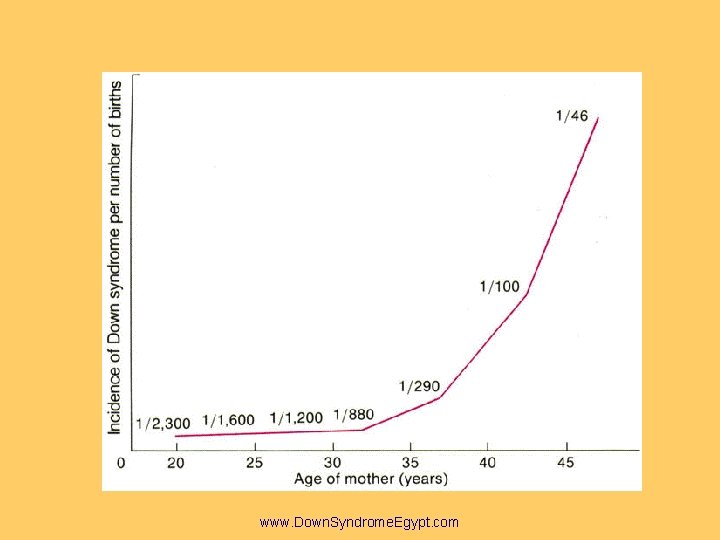 www. Down. Syndrome. Egypt. com 