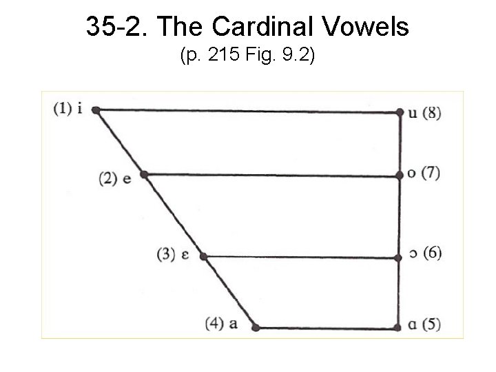 35 -2. The Cardinal Vowels (p. 215 Fig. 9. 2) 