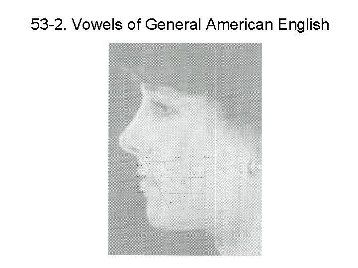 53 -2. Vowels of General American English 