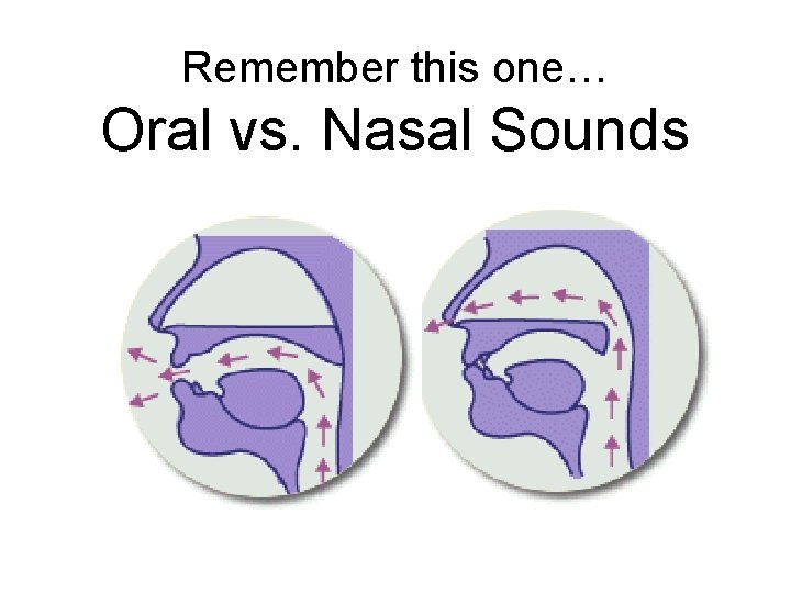 Remember this one… Oral vs. Nasal Sounds 