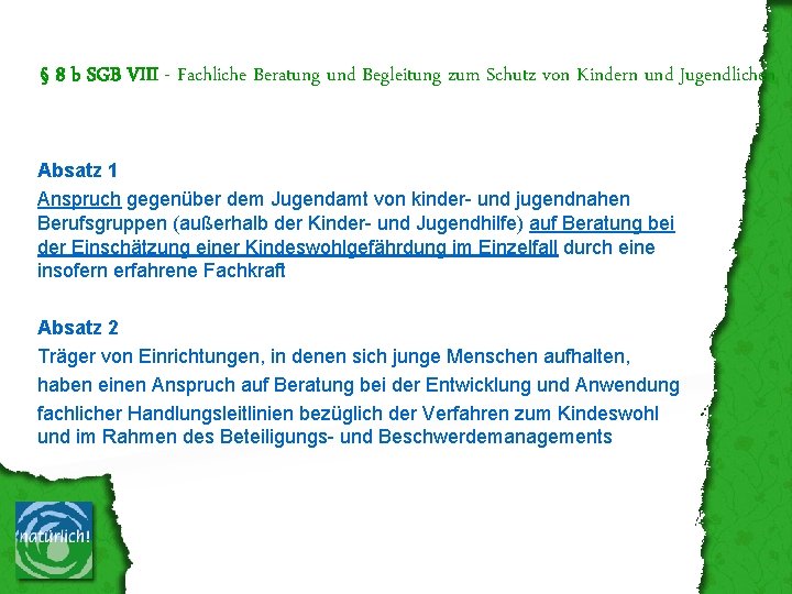 § 8 b SGB VIII - Fachliche Beratung und Begleitung zum Schutz von Kindern