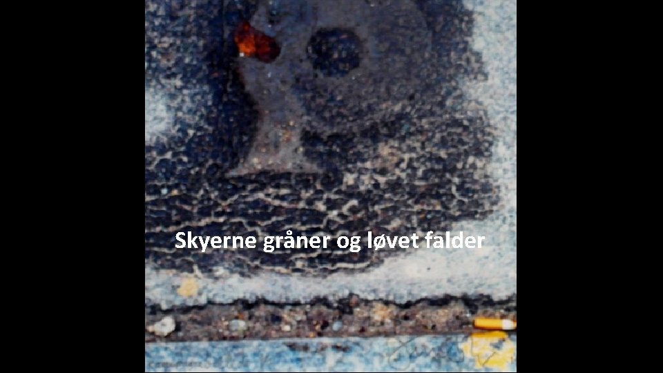 Skyerne gråner og løvet falder Skyerne gråner og løvet falder