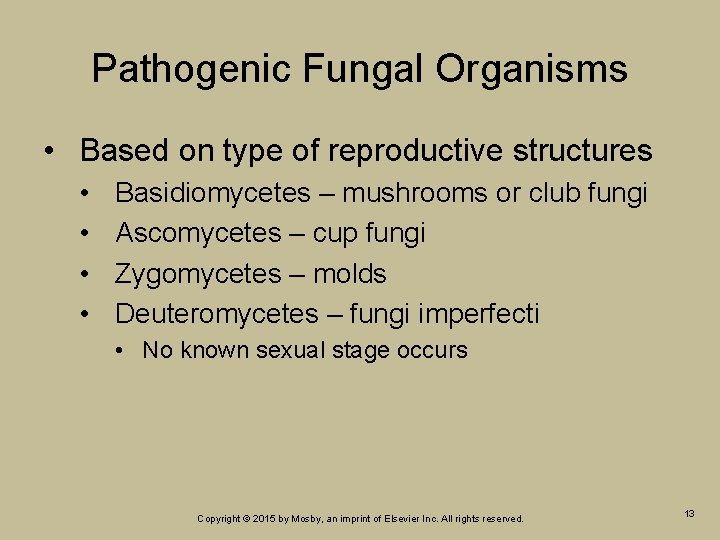 Pathogenic Fungal Organisms • Based on type of reproductive structures • • Basidiomycetes –