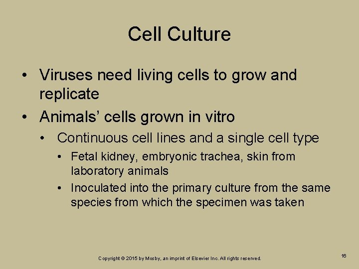 Cell Culture • Viruses need living cells to grow and replicate • Animals’ cells