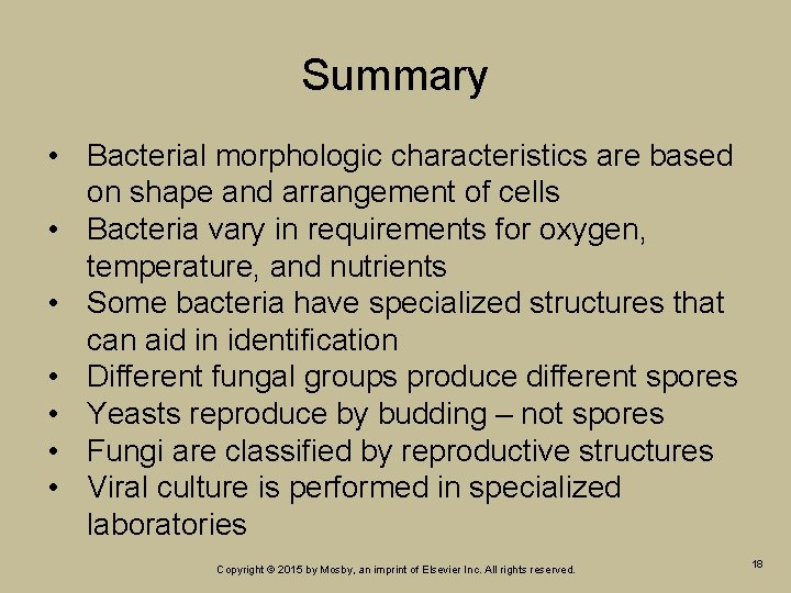 Summary • Bacterial morphologic characteristics are based on shape and arrangement of cells •