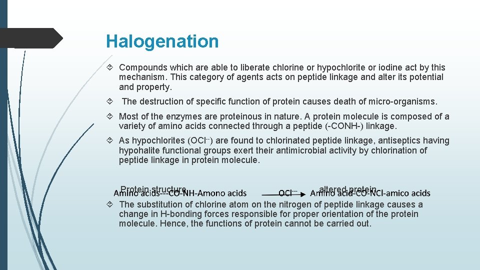 Halogenation Compounds which are able to liberate chlorine or hypochlorite or iodine act by