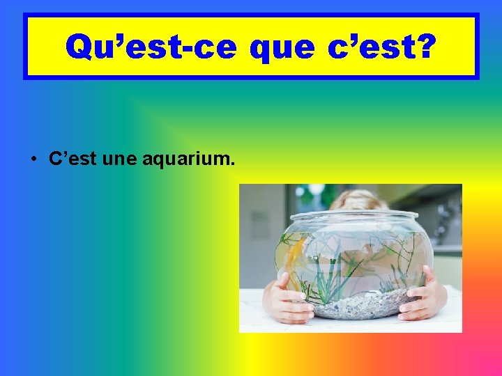 Qu’est-ce que c’est? • C’est une aquarium. 