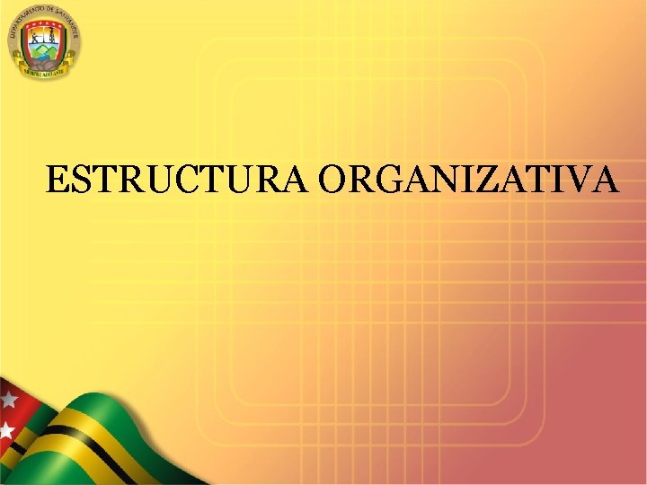 ESTRUCTURA ORGANIZATIVA SECRETARIA DE SALUD DEPARTAMENTAL 