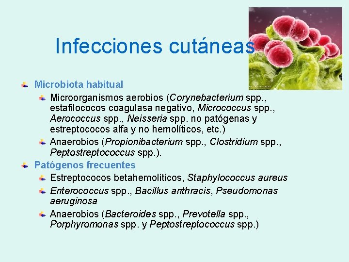 Infecciones cutáneas Microbiota habitual Microorganismos aerobios (Corynebacterium spp. , estafilococos coagulasa negativo, Micrococcus spp.