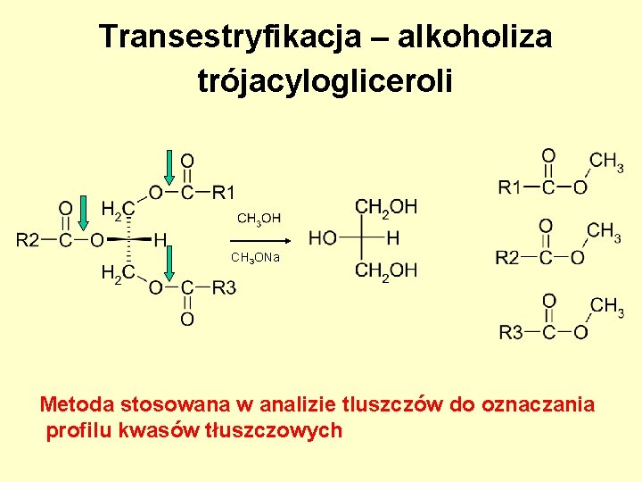 Transestryfikacja – alkoholiza trójacylogliceroli CH 3 ONa Metoda stosowana w analizie tluszczów do oznaczania