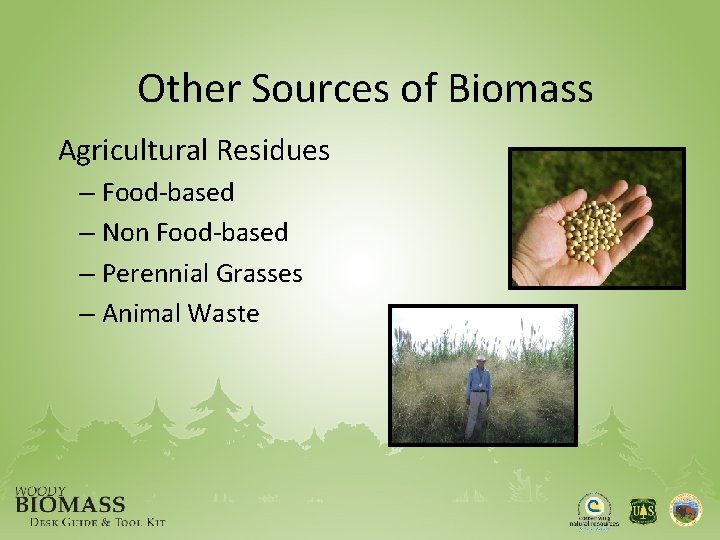 Other Sources of Biomass Agricultural Residues – Food-based – Non Food-based – Perennial Grasses