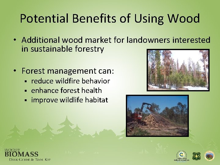 Potential Benefits of Using Wood • Additional wood market for landowners interested in sustainable
