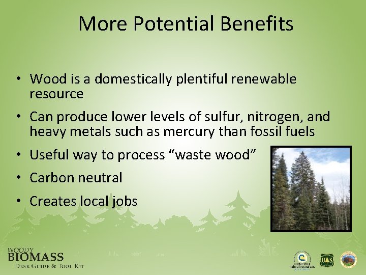 More Potential Benefits • Wood is a domestically plentiful renewable resource • Can produce