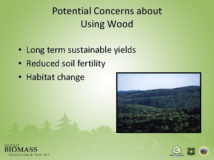 Potential Concerns about Using Wood • Long term sustainable yields • Reduced soil fertility