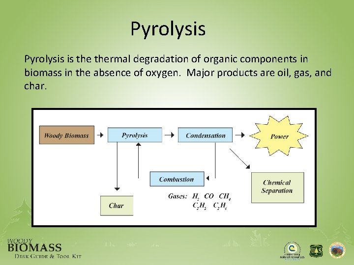 Pyrolysis is thermal degradation of organic components in biomass in the absence of oxygen.