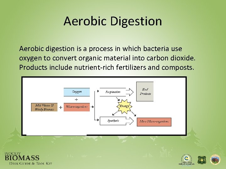 Aerobic Digestion Aerobic digestion is a process in which bacteria use oxygen to convert