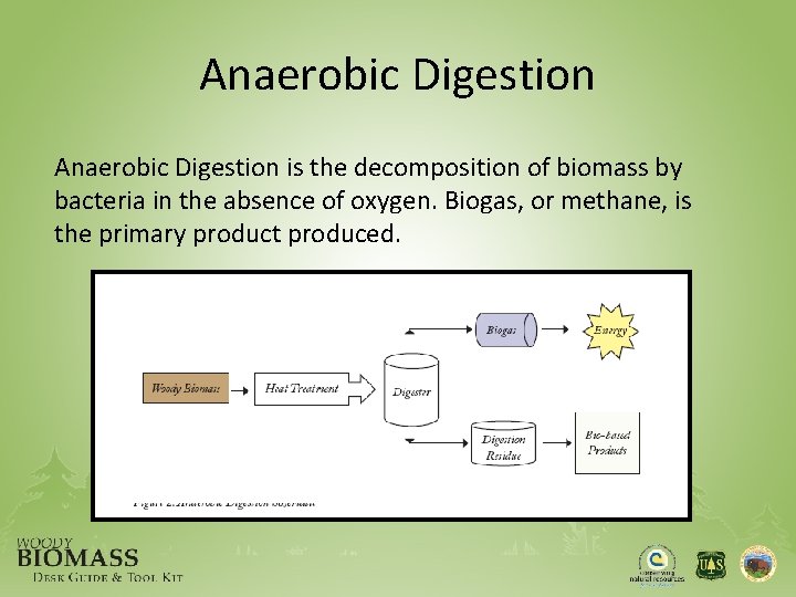 Anaerobic Digestion is the decomposition of biomass by bacteria in the absence of oxygen.