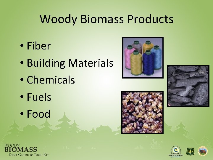 Woody Biomass Products • Fiber • Building Materials • Chemicals • Fuels • Food