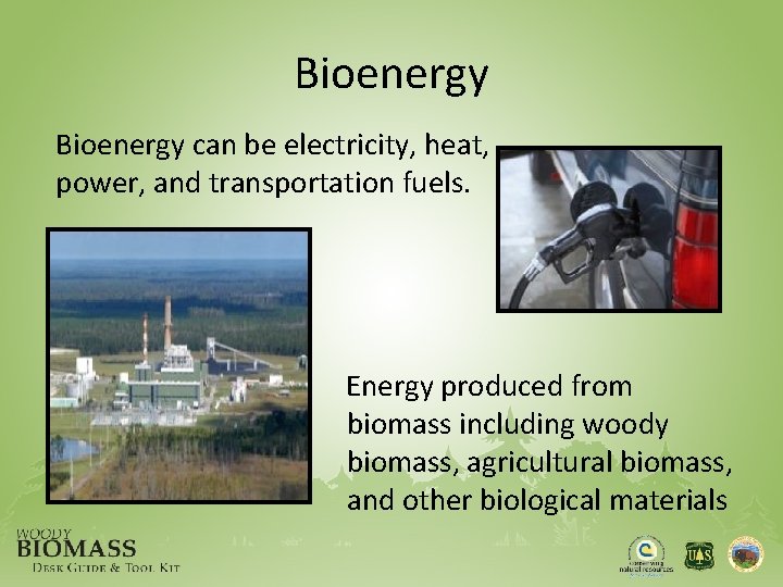 Bioenergy can be electricity, heat, power, and transportation fuels. Energy produced from biomass including
