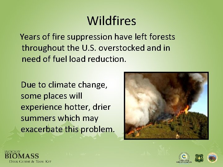 Wildfires Years of fire suppression have left forests throughout the U. S. overstocked and