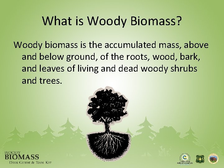 What is Woody Biomass? Woody biomass is the accumulated mass, above and below ground,