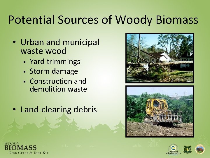 Potential Sources of Woody Biomass • Urban and municipal waste wood § § §