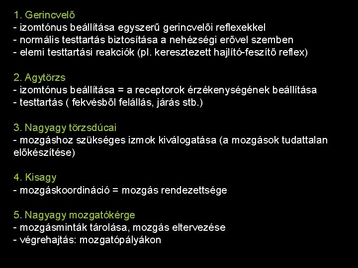 1. Gerincvelő - izomtónus beállítása egyszerű gerincvelői reflexekkel - normális testtartás biztosítása a nehézségi