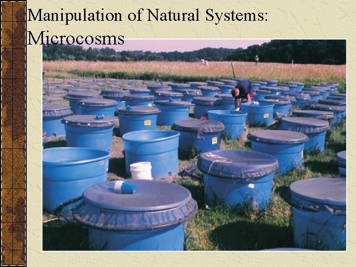 Manipulation of Natural Systems: Microcosms 