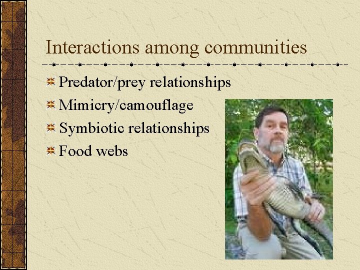 Interactions among communities Predator/prey relationships Mimicry/camouflage Symbiotic relationships Food webs 