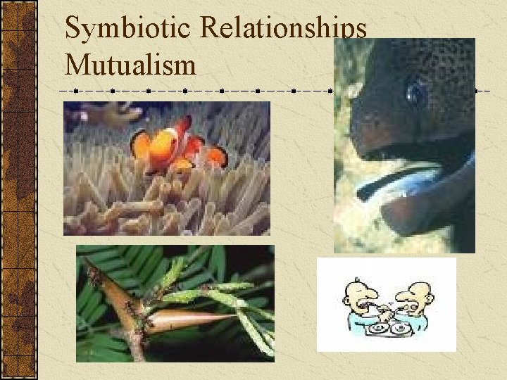 Symbiotic Relationships Mutualism 