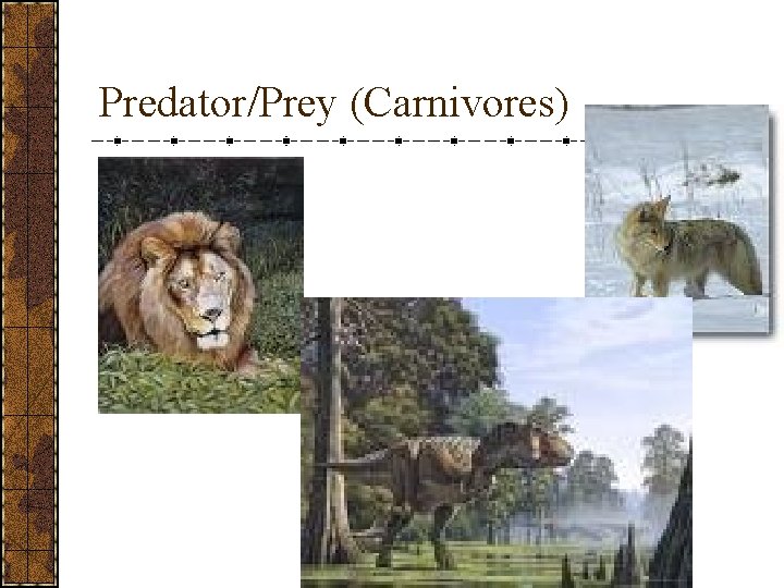 Predator/Prey (Carnivores) 