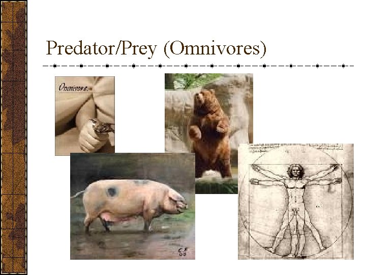 Predator/Prey (Omnivores) 
