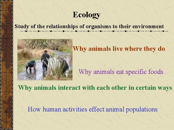 Ecology Study of the relationships of organisms to their environment Why animals live where