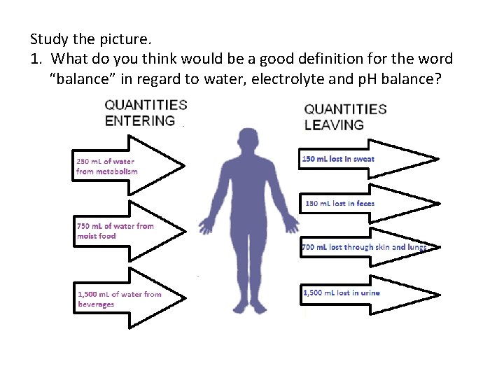 Study the picture. 1. What do you think would be a good definition for