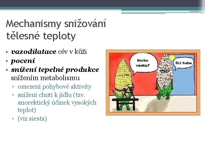 Mechanismy snižování tělesné teploty • vazodilatace cév v kůži • pocení • snížení tepelné